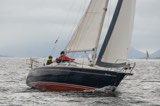 bacchus 5015c whyw23 thur 800  ab